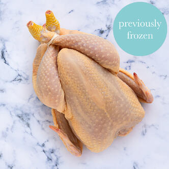 whole chicken frozen on marble background