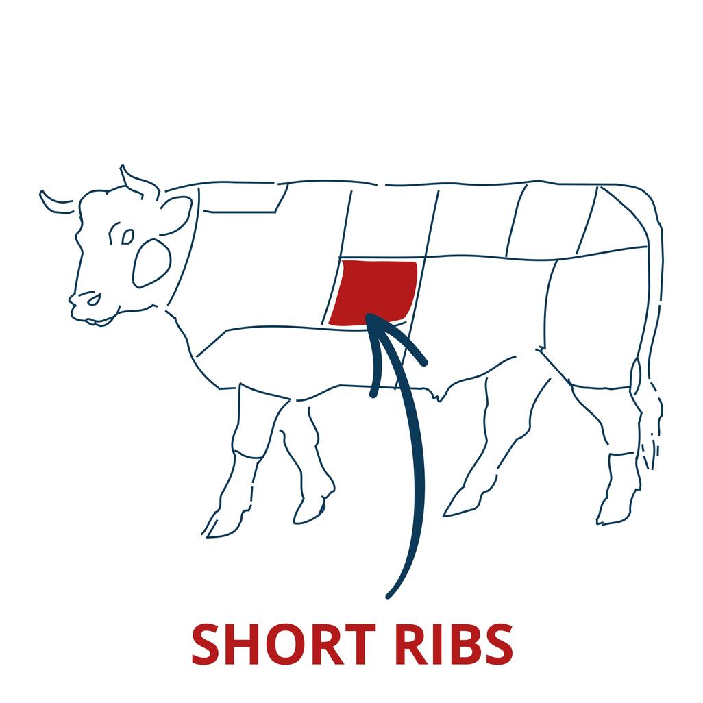 short ribs cut chart