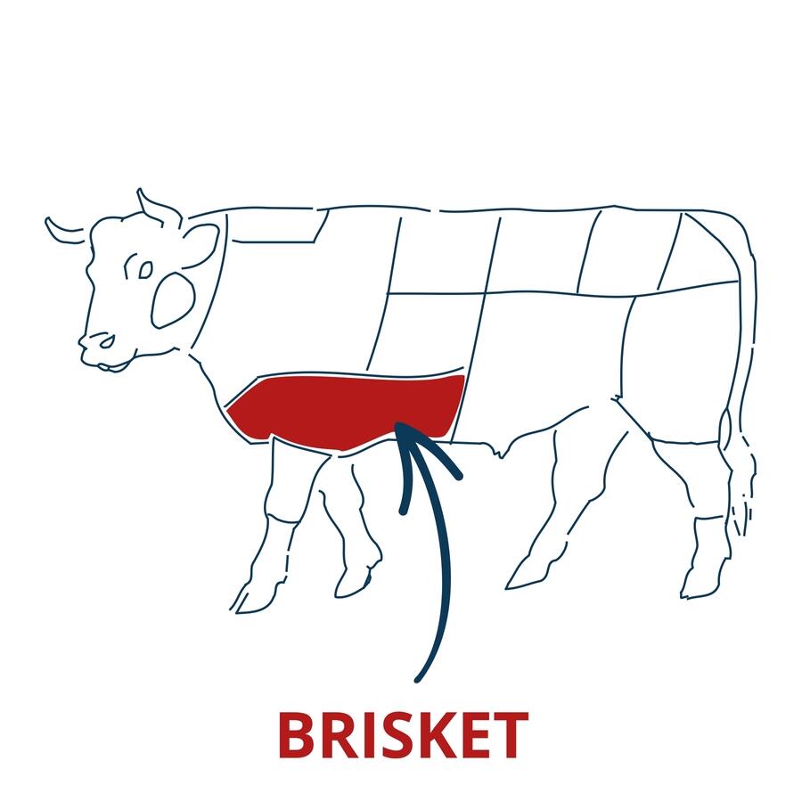 Brisket Joint cut chart 