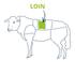 lamb loin cut chart 