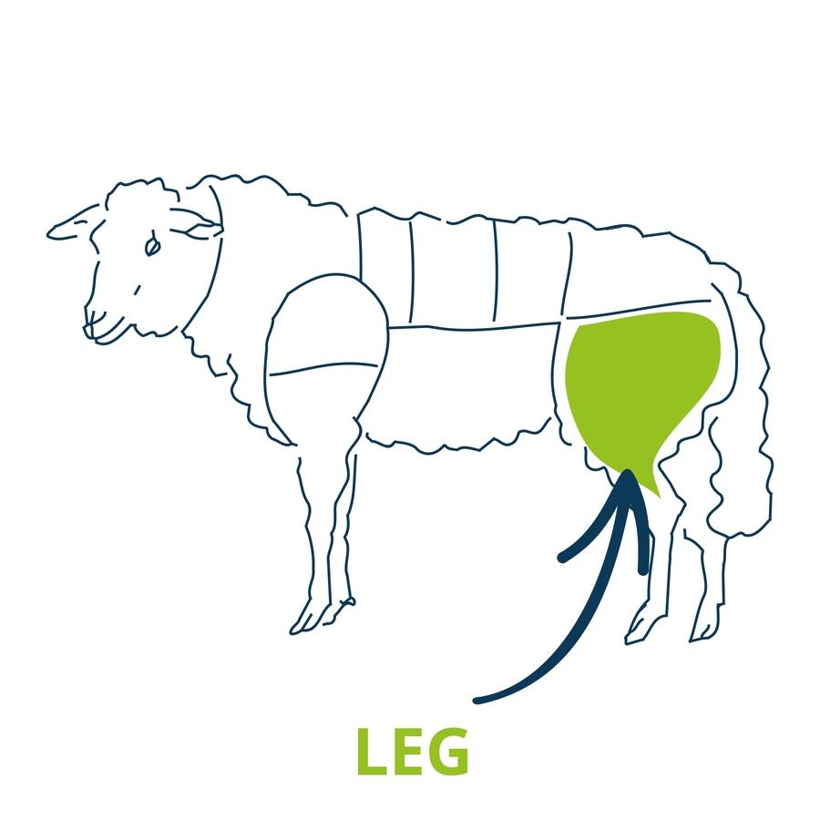 lamb leg cut chart