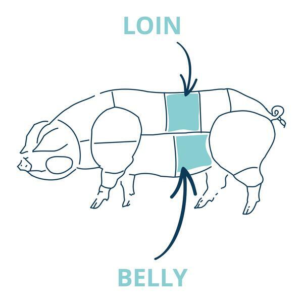 pork loin and belly cut chart 