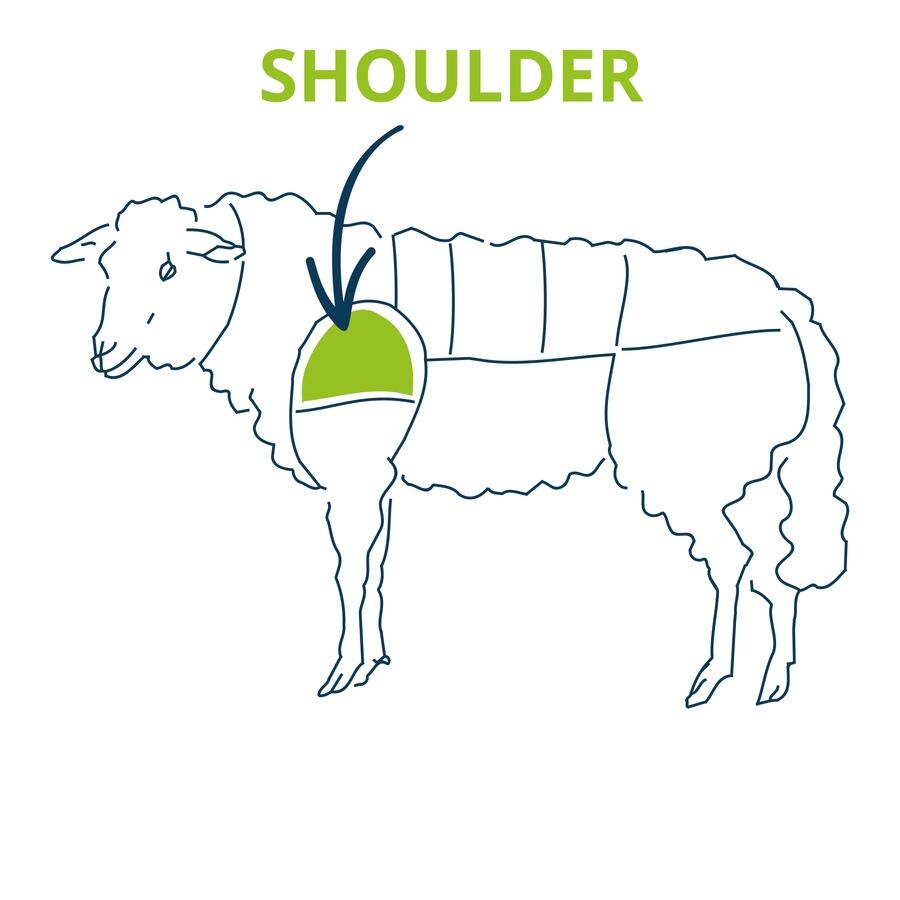 lamb shoulder cut chart