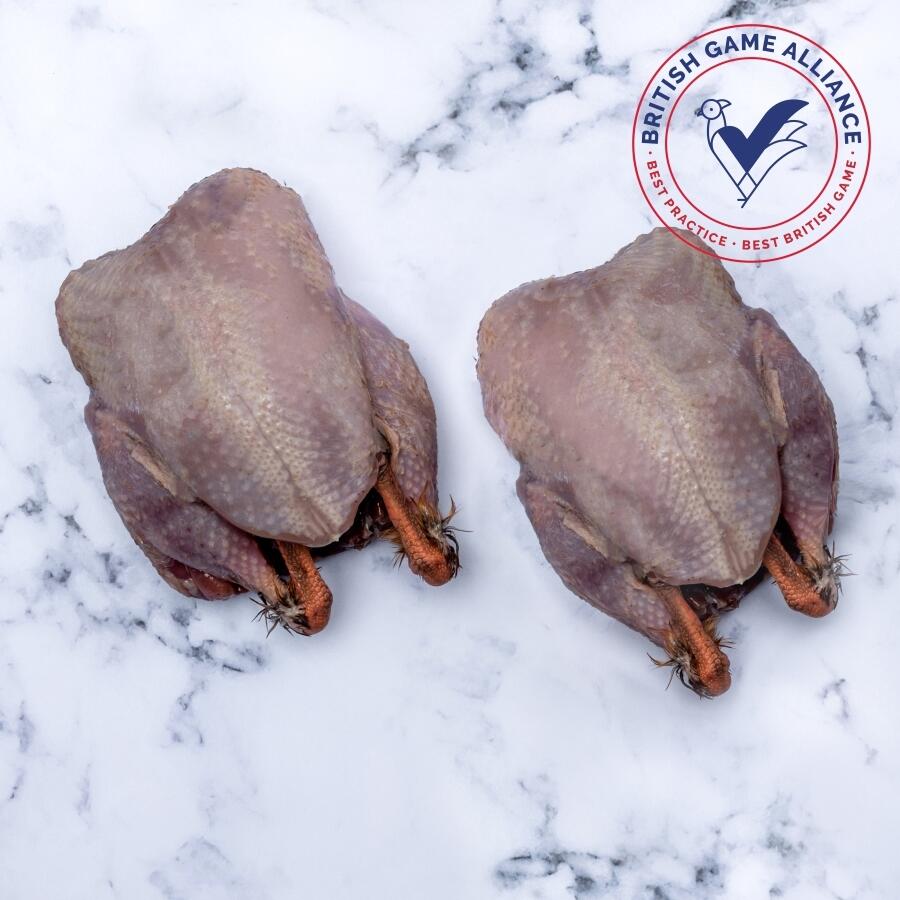 dales partridge on marble background