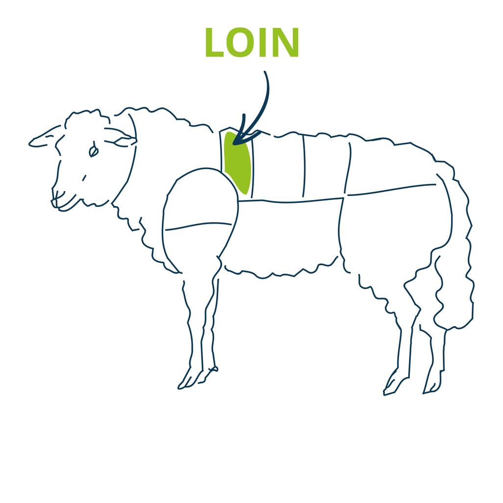 lamb loin cut chart 