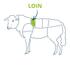 lamb loin cut chart 