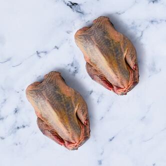  pheasant on marble background