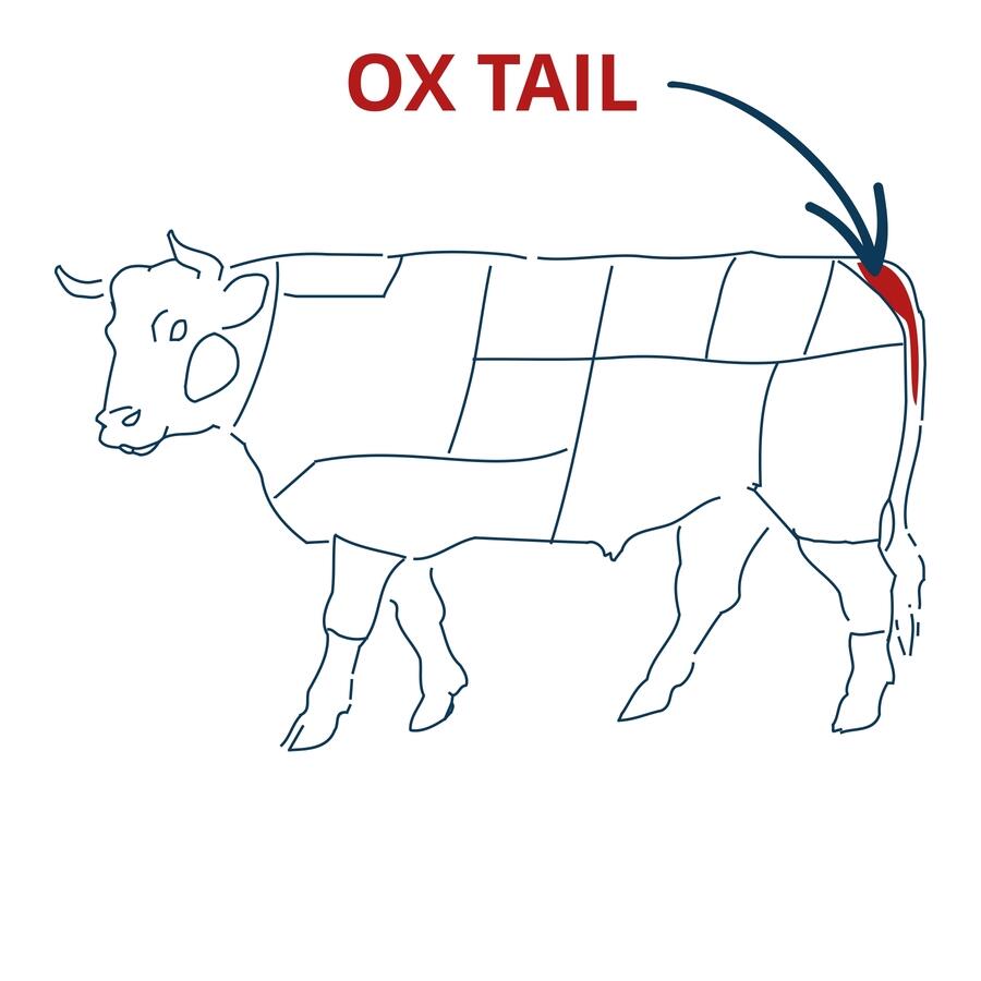 oxtail cut chart