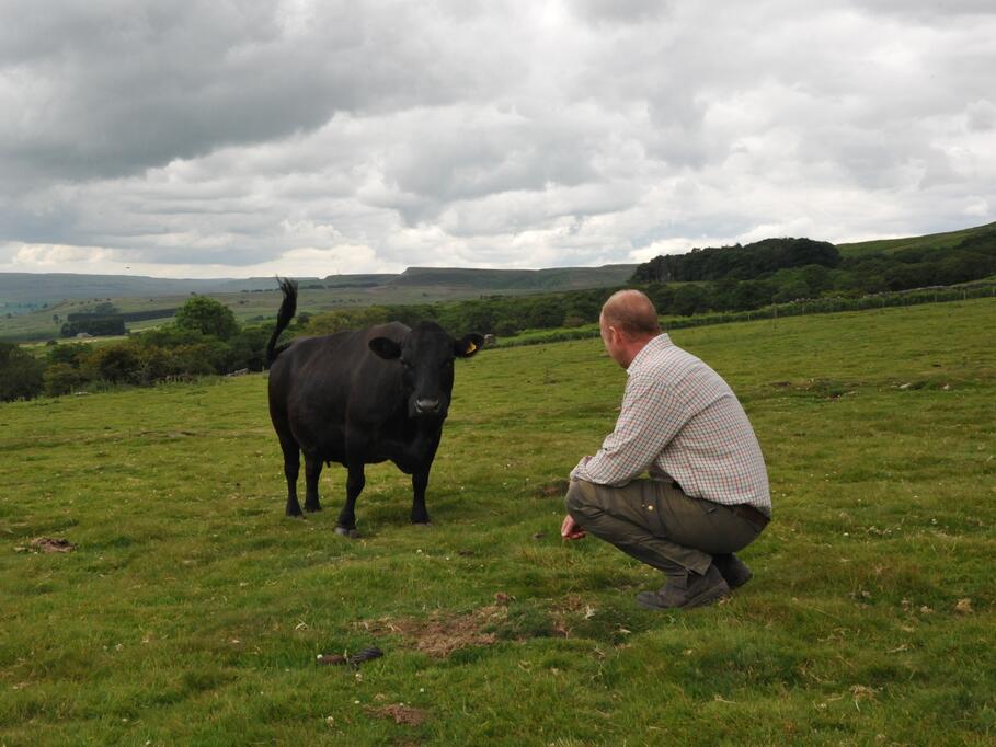 farmer 