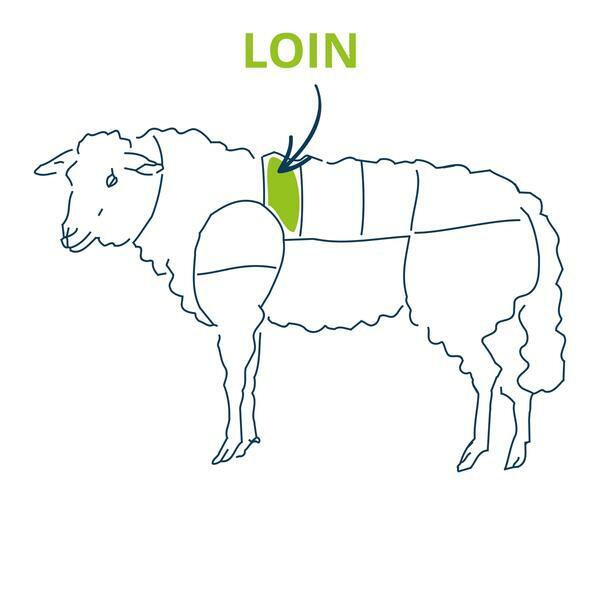 loin cut chart 