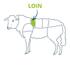 loin cut chart 