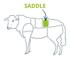 lamb saddle cut chart 